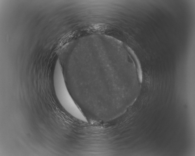 X0000085070818200703261229