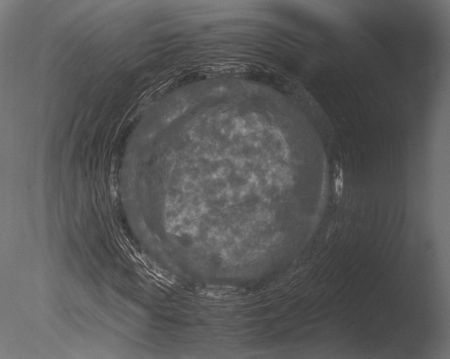 X0000085070819200703261229