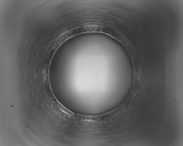 X0000085070821200703261229