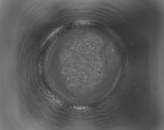 X0000085070823200703261229