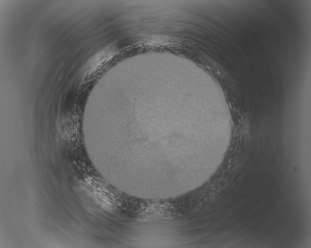 X0000085070824200703261229