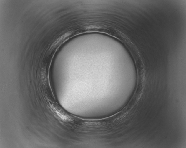 X0000085070825200703261229