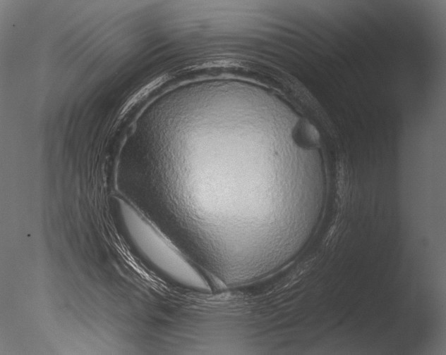 X0000085070826200703261229