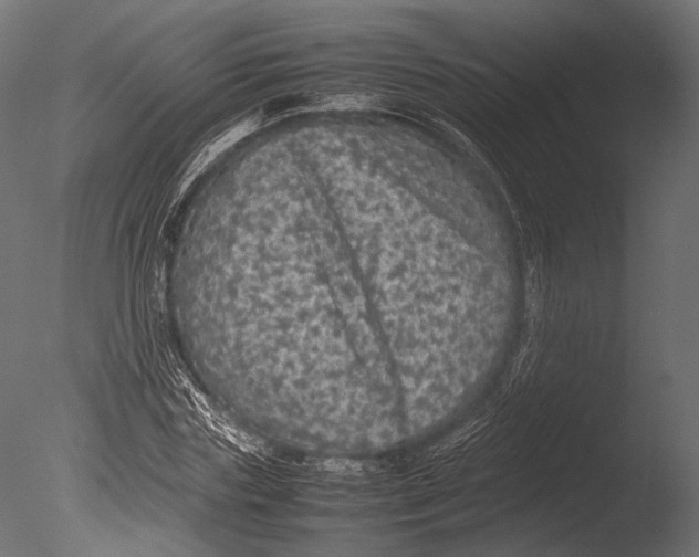 X0000085070827200703261229