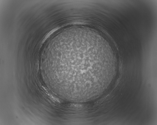 X0000085070829200703261229