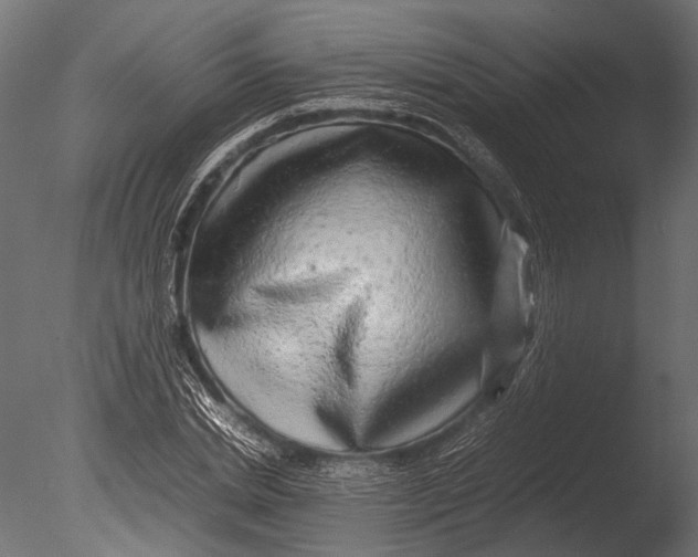 X0000085070830200703261229