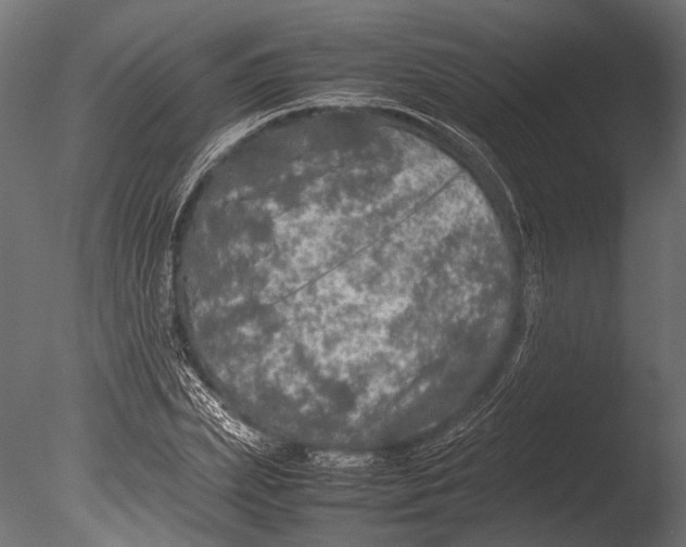 X0000085070831200703261229