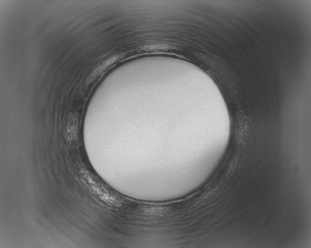 X0000085070833200703261229