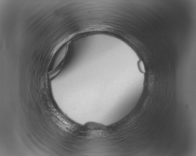 X0000085070834200703261229