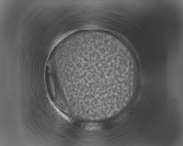 X0000085070839200703261229