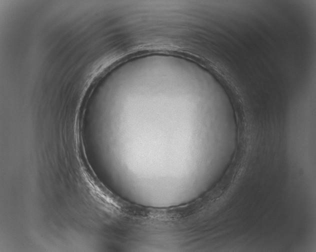 X0000085070840200703261229