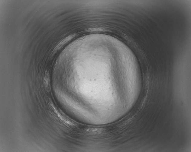 X0000085070841200703261229