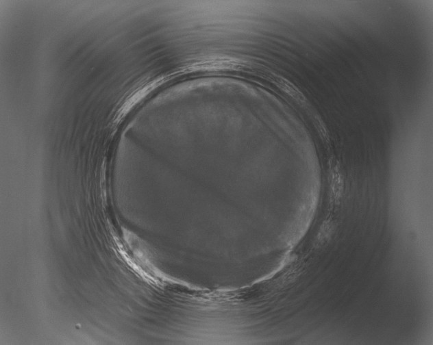 X0000085070842200703261229