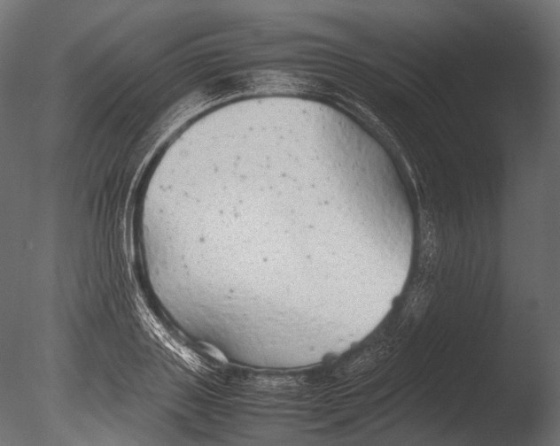 X0000085070843200703261229