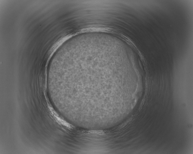 X0000085070844200703261229