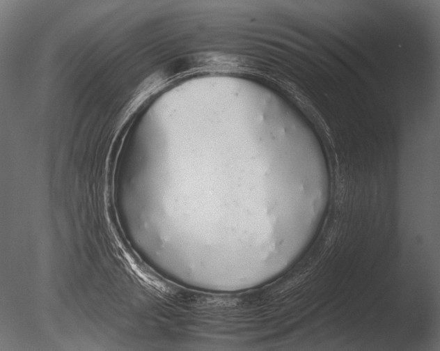 X0000085070845200703261229