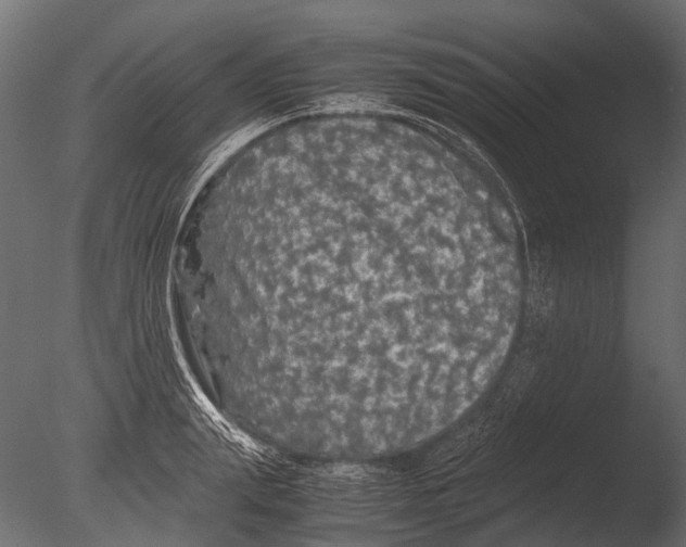 X0000085070847200703261229