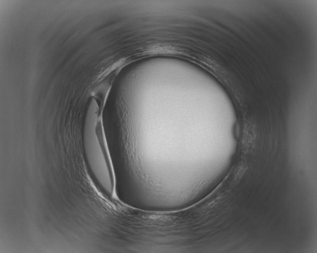 X0000085070849200703261229