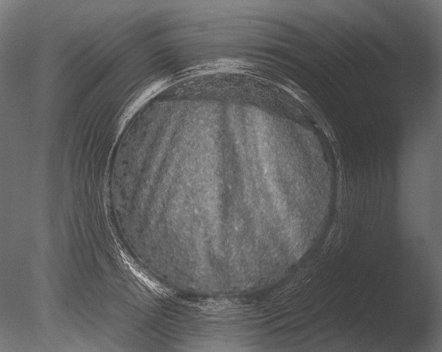 X0000085070850200703261229