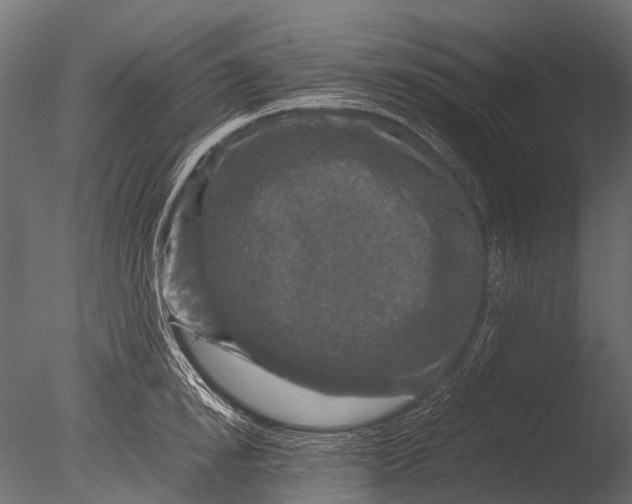 X0000085070854200703261229