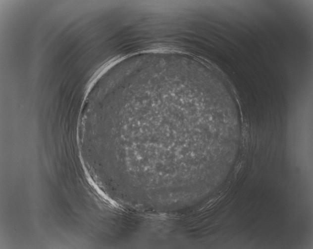 X0000085070855200703261229