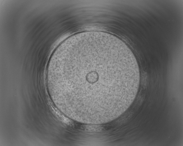 X0000085070856200703261229