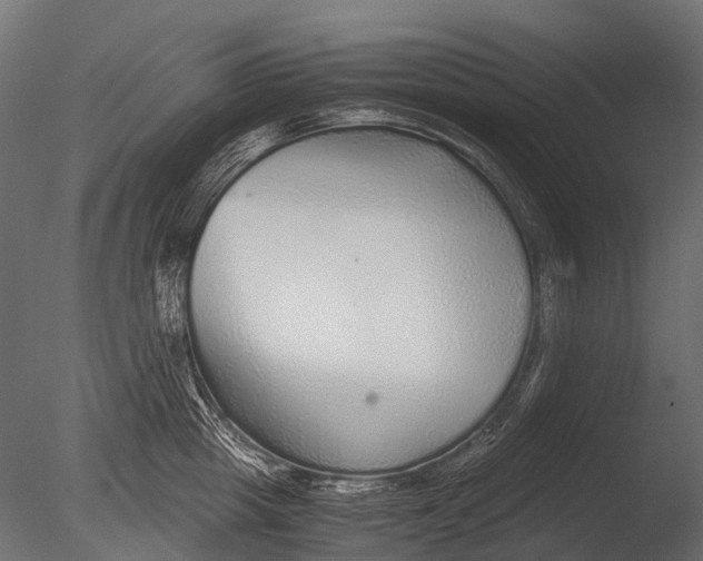 X0000085070857200703261229