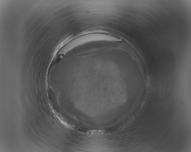 X0000085070858200703261229