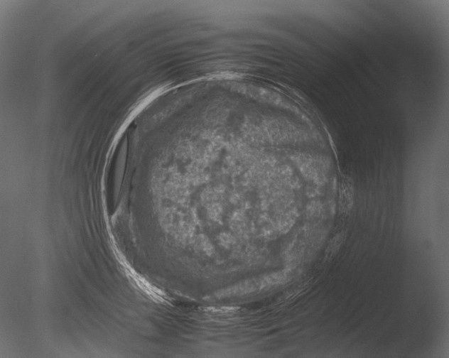 X0000085070859200703261230