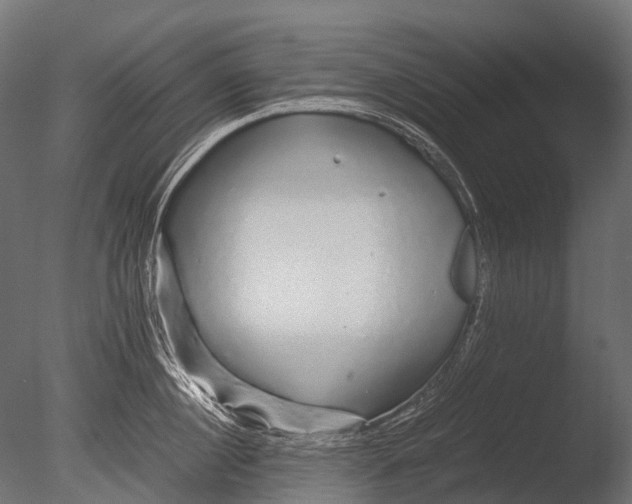 X0000085070860200703261230