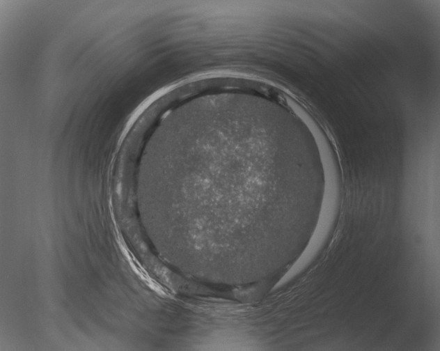 X0000085070862200703261230