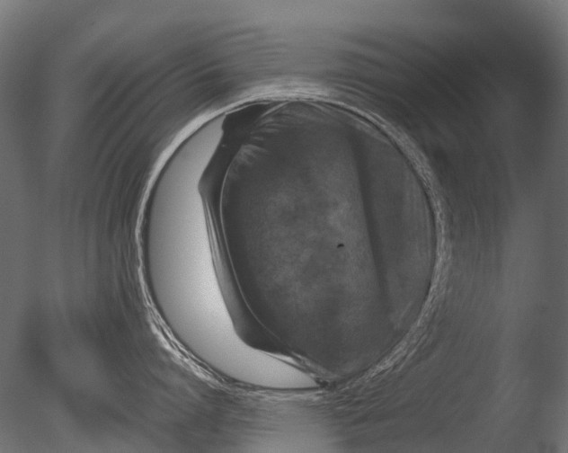 X0000085070864200703261230