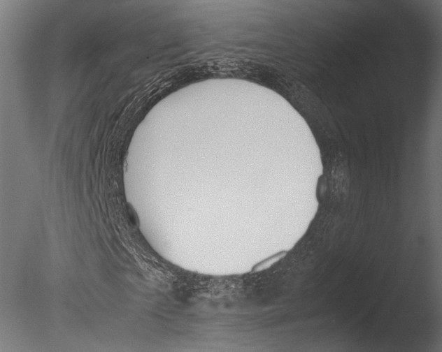 X0000085070865200703261229