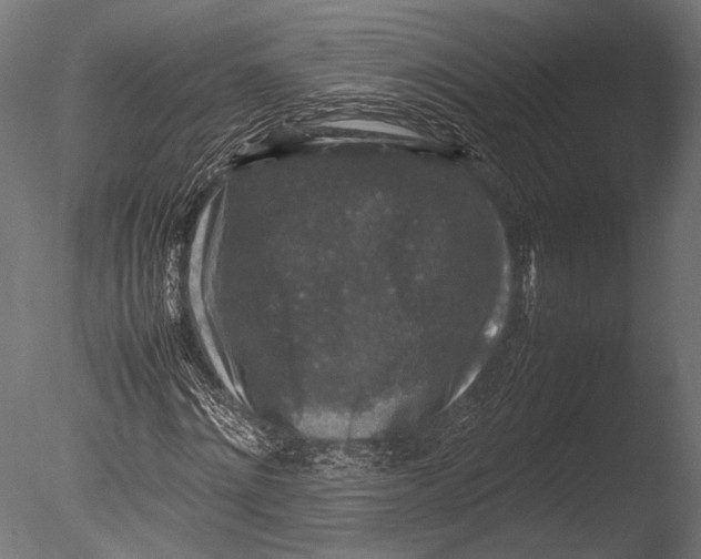 X0000085070868200703261229