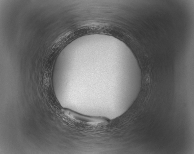 X0000085070869200703261229