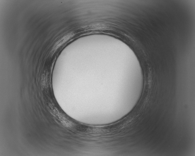 X0000085070873200703261229