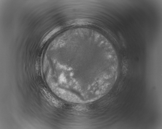 X0000085070874200703261229