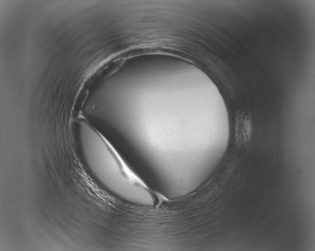 X0000085070876200703261229