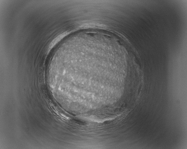 X0000085070877200703261229