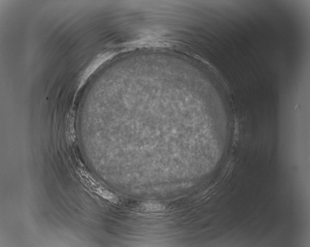 X0000085070878200703261229