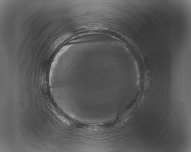 X0000085070881200703261228