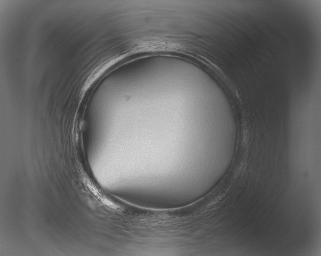 X0000085070885200703261228