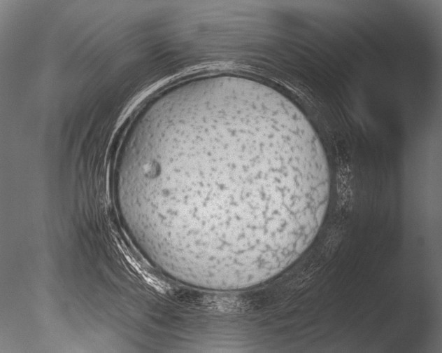 X0000085070886200703261228