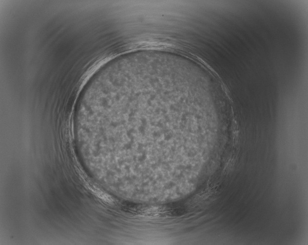 X0000085070891200703261228