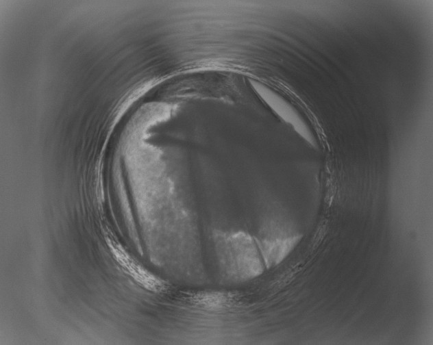 X0000085070892200703261228