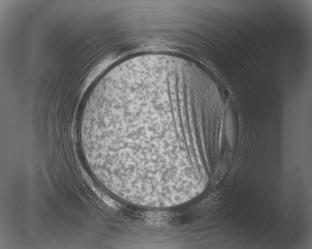 X0000085070893200703261228