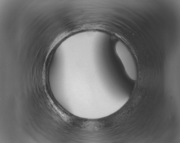 X0000085070894200703261228