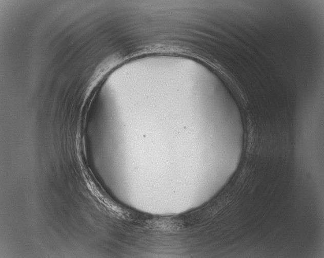 X0000085070896200703261228