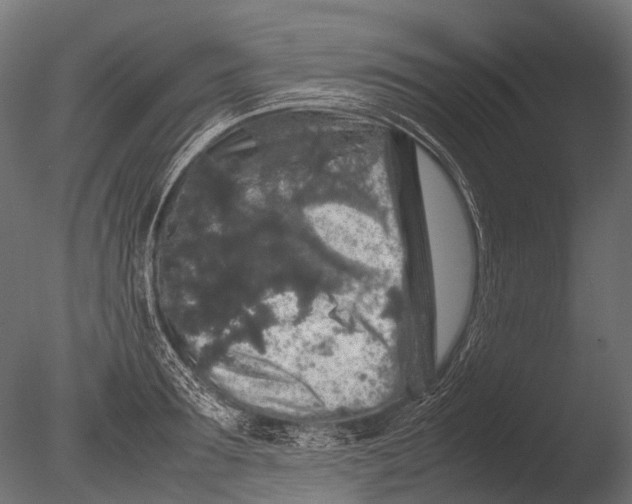 X0000085070899200703261228