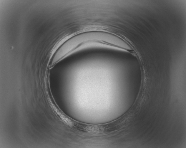 X0000085070901200703261228